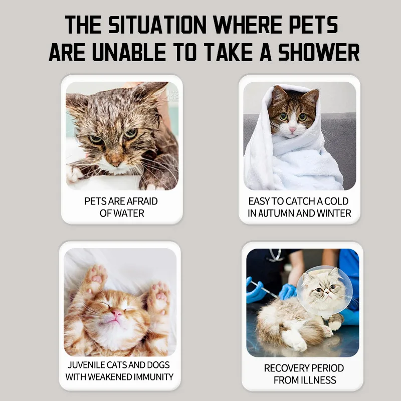Köpekler Kediler için Doğal Su - Dry Shampoo Travel incelemesi ve fiyatı